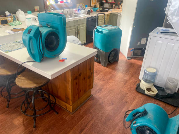 Best Carpet water damage restoration  in Edburgh, IN