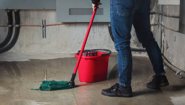 Best Ceiling water damage repair  in Edburgh, IN