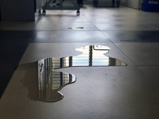 Best Professional water damage repair  in Edburgh, IN