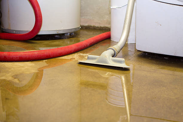 Best Professional water damage repair  in Edburgh, IN