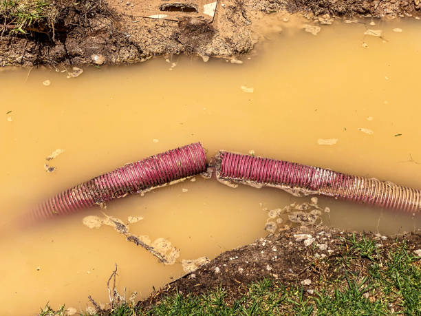 Best Water damage restoration near me  in Edburgh, IN