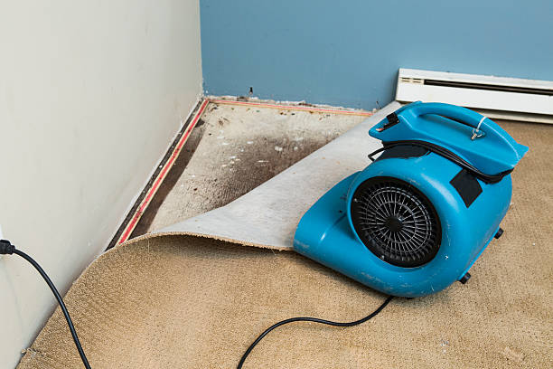 Best Local water damage restoration  in Edburgh, IN